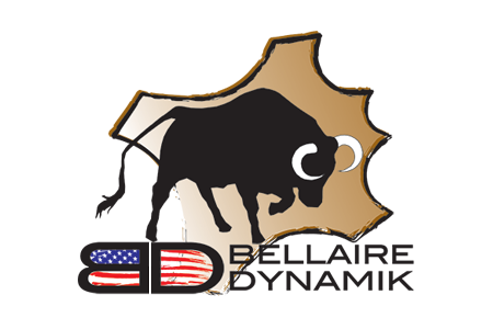 bellaire dynamik logo